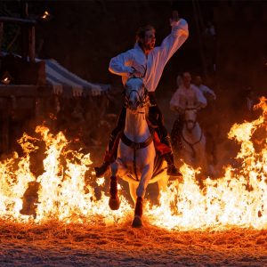 Cavalier et son cheval passent à travers les flammes