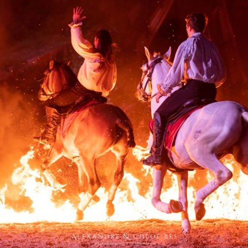 38629988_230052867653713_3075767715802120192_n