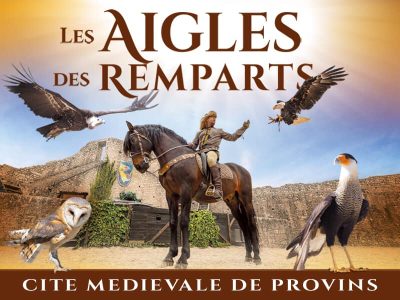 84354368_3010077275720722_3340392792781225984_n