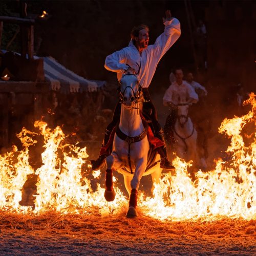 background-crinsdefeu-min