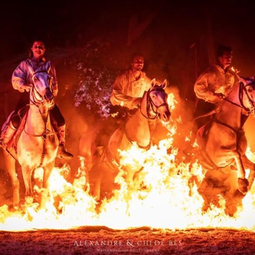 crins-de-feu-001-min