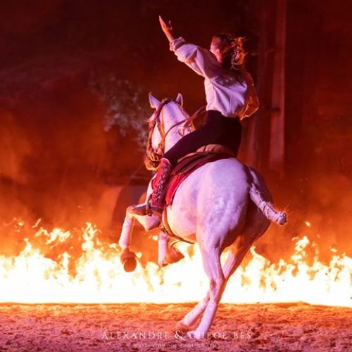 crins-de-feu-006-min