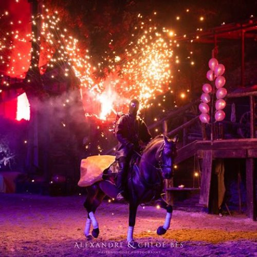 crins-de-feu-009-min